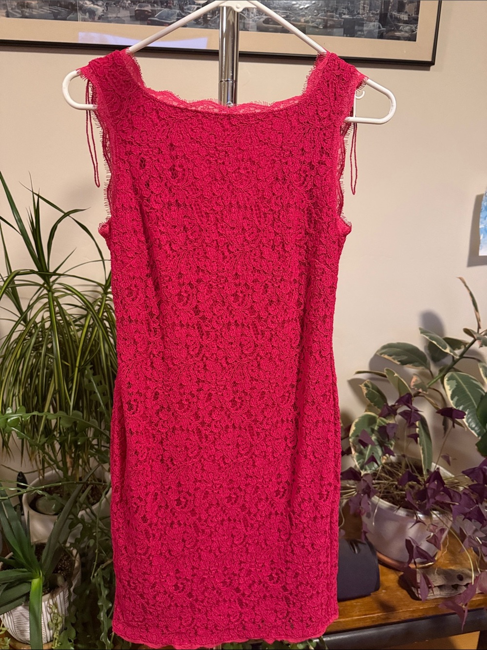 Adrianna Papell Fuchsia Lace Sleeveless Mini Dress